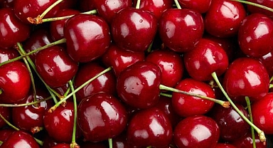 İzmir'de sezonun ilk kiraz ihracatı yapıldı