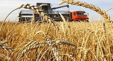 Rusya 60 milyon ton tahıl ihracatı hedefliyor