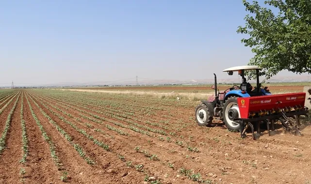 AB'den çiftçilere 540 milyon avroluk gübre desteği