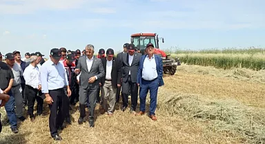 Edirne'de meralar üreticiye destek amaçlı ıslah ediliyor