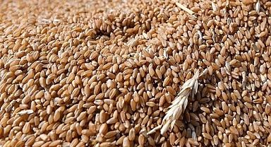 FAO: Küresel gıda fiyatları mayısta yüzde 0,2 geriledi
