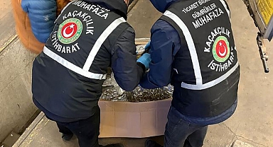 Gümrükler Muhafaza ekipleri zehir tacirlerine göz açtırmadı