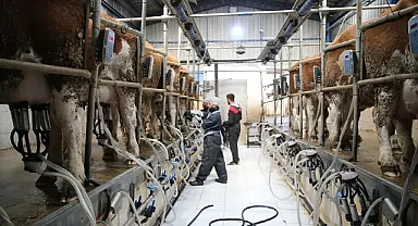 Süt üreticilerine 6 yılda 24,6 milyar lira destek verildi