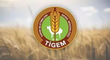 TİGEM 60 bin kilogram yapağı satacak