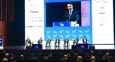 Türkiye, yenilenebilir enerjideki deneyimini paylaşmaya hazır