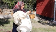 3 kovan ile işe başlayan ev hanımı yılda 1.5 ton bal üretiyor