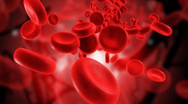 4 kilosu Türkiye’nin 1 yıllık ihracatına denk geliyor