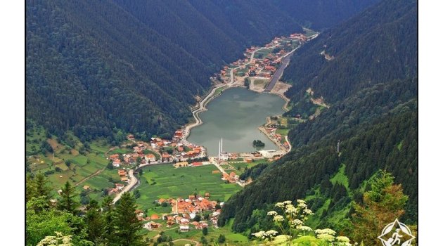 Araplar gözünü Karadeniz'e dikti