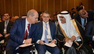 Bakan Kurtulmuş'tan İİT toplantısında Arakan çağrısı