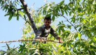Bu haber ağaca tırmanabilen ve denge sorunu yaşamayan erkekler için