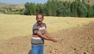Bu köyün toprağı akrep kaçırıyor