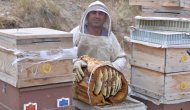 Cam kavanozda ve kütüğün içinde üretilen ballar hayrete düşürüyor