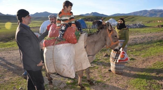 Dağdan eşekle taşınan gülbahar bitkisi kamyonlarla batıya gönderiliyor
