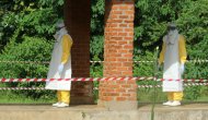 Demokratik Kongo'da Ebola salgını 1 milyonluk şehre yayıldı: 23 kişi öldü