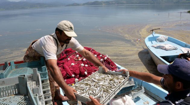 Denize kıyısı olmayan ilçeden Avrupa'ya 300 ton balık ihracı