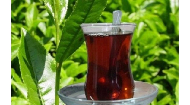 Doğu Karadeniz çayı 100 ülkeye ulaştı
