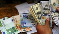Dolar sakin seyrediyor
