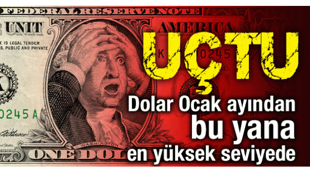 Dolar/TL 3.90'ı aştı, euro rekor tazeledi