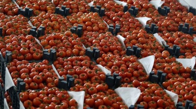 Domates için ilk imzalar atıldı
