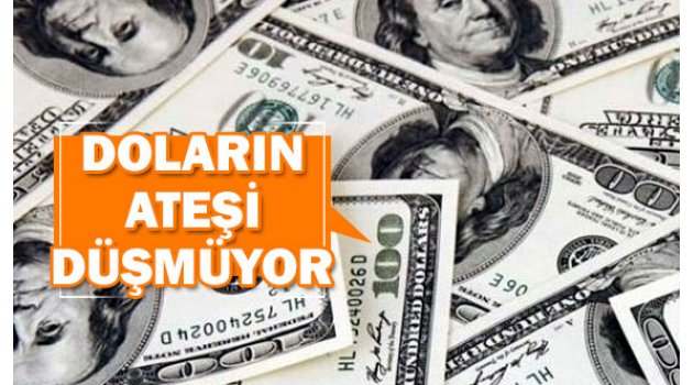 Dövizin ateşi niye yükseldi?