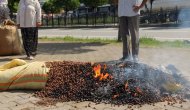 Fındık fiyatını fındığını yakarak tepki gösterdi