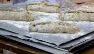 Finlandiya'da böcekli ekmek satışa çıkıyor