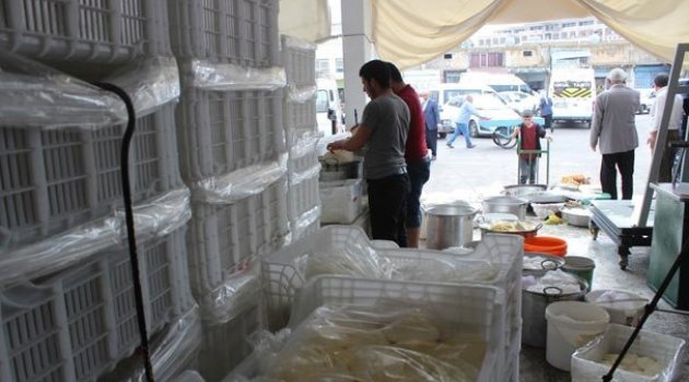 Günde 100 ton peynir üretilen Siverek'te patentli üretici yok