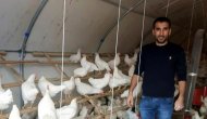 İstanbul'dan memleketine döndü, yumurta üreticisi oldu