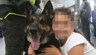 Kartel, narkotik köpeğin başına 70 bin dolar ödül koydu