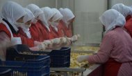 Kestane fiyatları uçuşa geçti, şeker üreticileri bu yıl para kazanmayacak