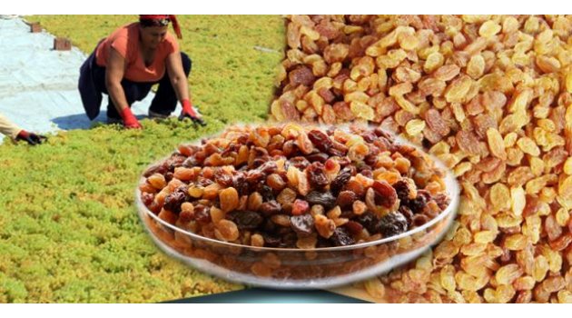 Kuru üzüm ihracatı 180 bin tonu aştı