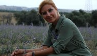 Lavanta sevgisi atıl araziyi renklendirdi