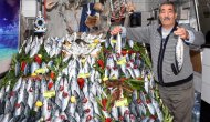 Palamut fiyatları düştü