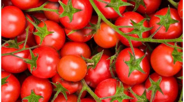 Rusya domates ithalatına yeşil ışık yaktı