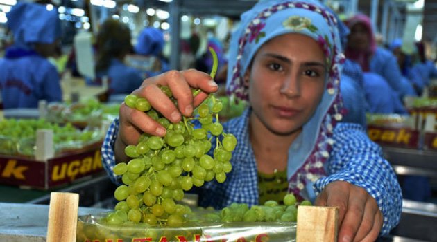 Sultaniye üzümde hasat ve ihracat sevinci - EKONOMİ - Ekonomi Dünya Dergisi