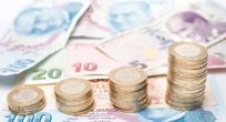 37 milyar TL’lik ek borçlanma ne için kullanılacak?