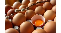Almanya'da 'böcek ilaçlı yumurta' üreticilerine soruşturma: 4 tesis kapatıldı