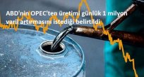 ABD'nin OPEC'ten üretimi günlük 1 milyon varil artırmasını istediği belirtildi