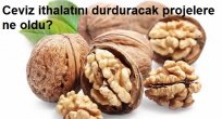 Ceviz ithalatını durduracak projelere ne oldu?