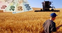 Çiftçilere ödenecek tarımsal destekler belli oldu