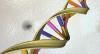 DNA’ya sinema filmi ve bilgisayar virüsü depoladı!