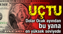 Dolar/TL 3.90'ı aştı, euro rekor tazeledi