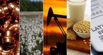 Emtialar hala artan enflasyon risklerinden korunmak için en iyi yol