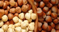 Fındık rekoltesi 640 bin ton