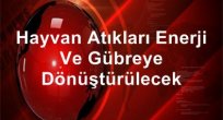 Hayvan atıkları enerji ve gübreye dönüştürülecek