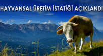 Hayvansal Üretim İstatistikleri, Haziran 2017