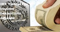 IMF Türkiye'nin büyüme beklentisini düşürdü