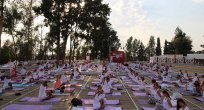 İSTANBUL – ŞİLE’DE ULUSLARARASI FARKINDALIK FESTİVALİ YAPILDI