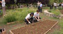 KADIKÖY'DE BAHÇE BOSTAN