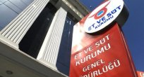 Marketlere ithal kuzu ve koyun satılacak